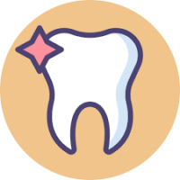 Drawing of a tooth