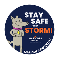 cartoon coyote with text that reads stay safe with Stormi