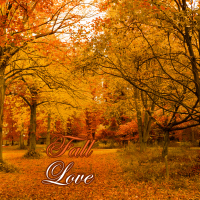 Trees and walking path with autumn colors