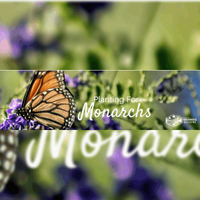 City of Phoenix – Monarch Pledge