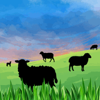 Silhouette of several sheep on an open field.