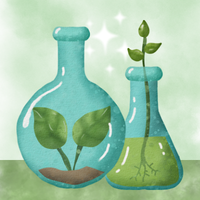 watercolor-style illustration in greens and blues showing plants growing in science lab glassware, a conical flask and a round bottomed flask with white sparks between them